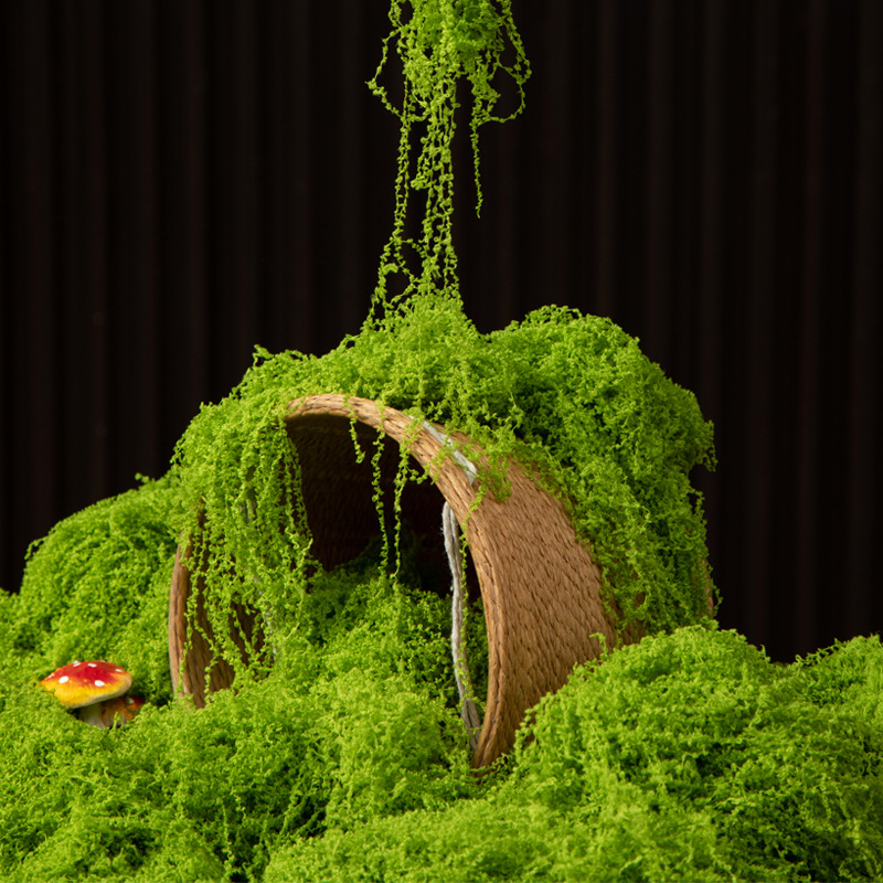 200g de mousse éternelle pour  - Terrarium Moss Art avis et prix