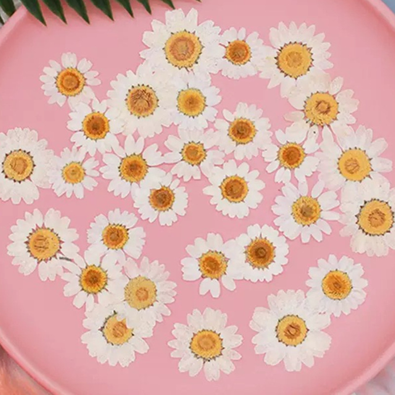 100 pièces de spécimens de pla - Resin Craft Ideas avis et prix