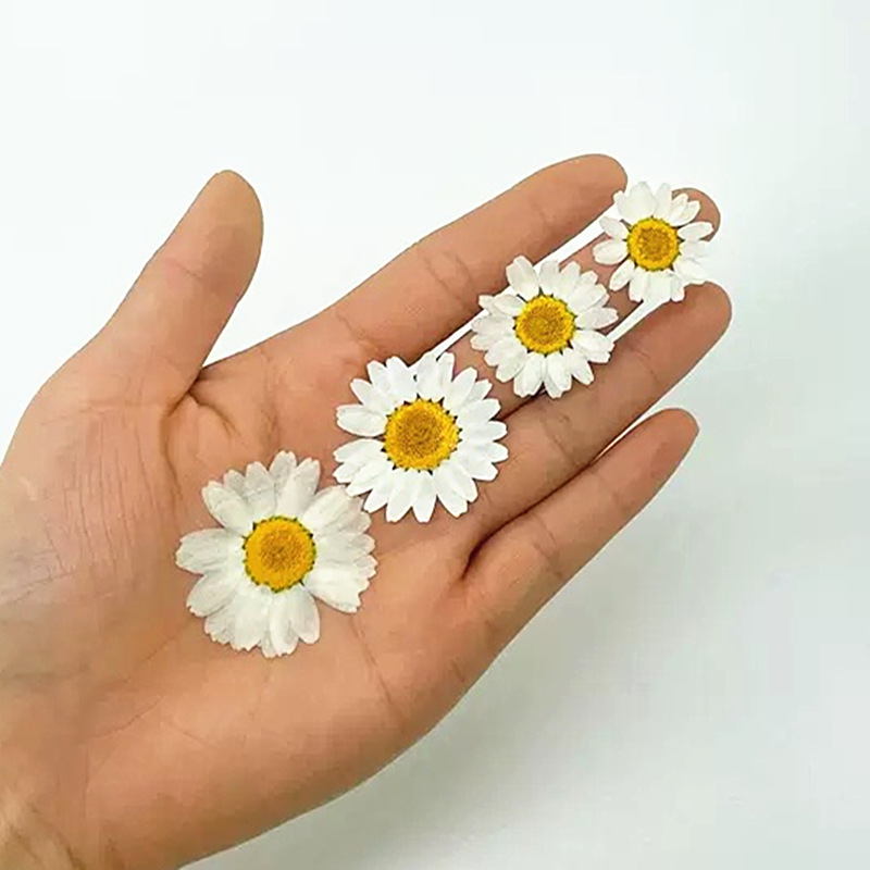 100 pièces de spécimens de pla - Resin Craft Ideas avis et prix