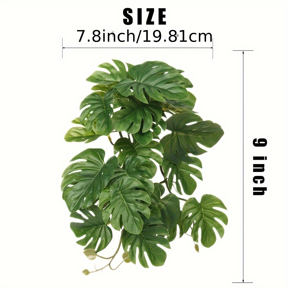 Plantes pour terrarium, plante - Terrarium Moss Art avis et prix