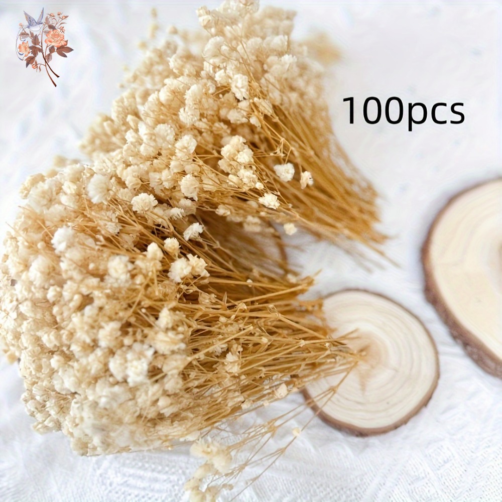 100 mini-fleurs séchées de gyp - Resin Craft Ideas avis et prix