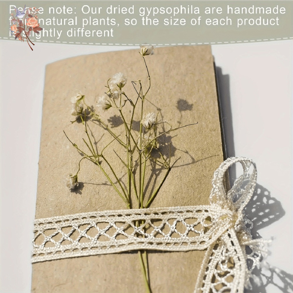 100 mini-fleurs séchées de gyp - Resin Craft Ideas avis et prix